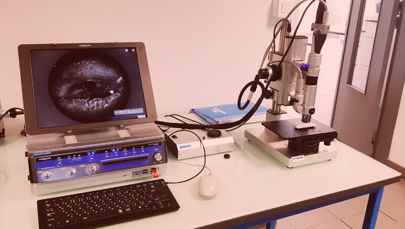 microscope optique microscopie